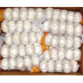 Упаковка мешков Чистый белый чеснок (5,5 см и выше)